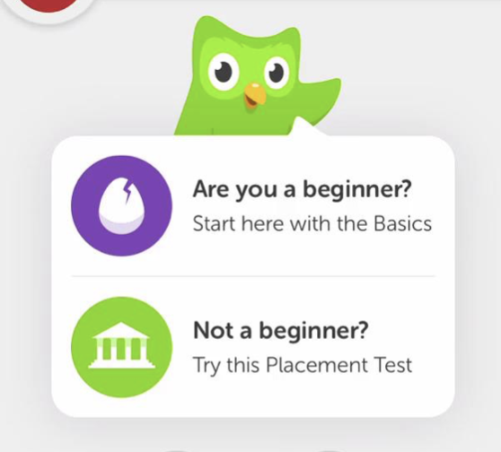 Duolingo placement test